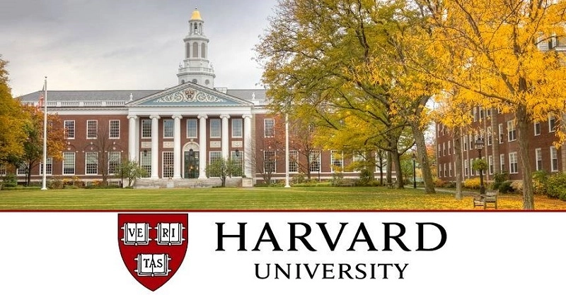 Los cursos gratuitos en Harvard, como el de inteligencia artificial, se ofrecen en la plataforma de la universidad
