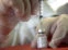 Ómicron: laboratorios analizan ajustar las vacunas por la nueva variante